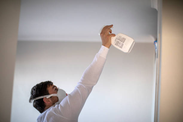 Best Commercial Mold Remediation in Collinsville, AL