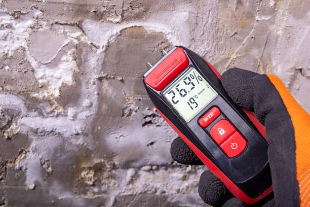 Best DIY Mold Remediation Support Services in Collinsville, AL